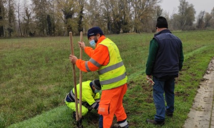 Acqui Terme, 700 alberi piantati sulla pista ciclabile “Terme e Natura”