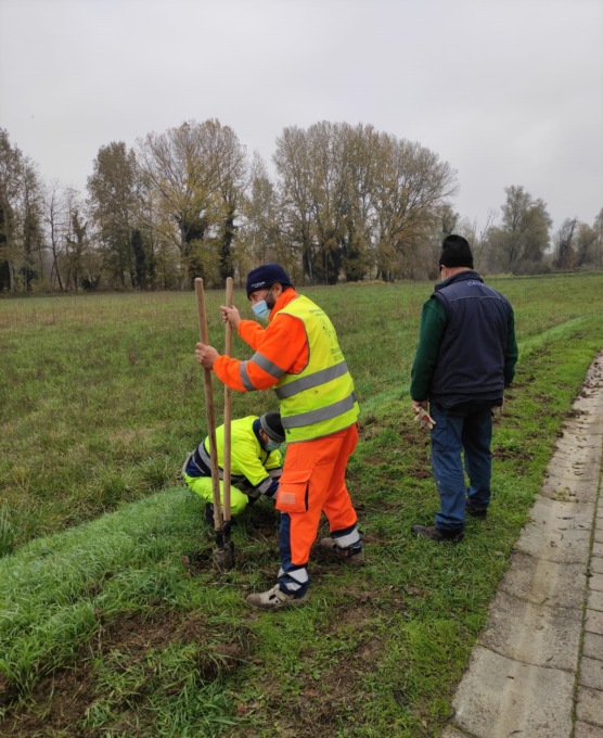 Acqui Terme, 700 alberi piantati sulla pista ciclabile “Terme e Natura”