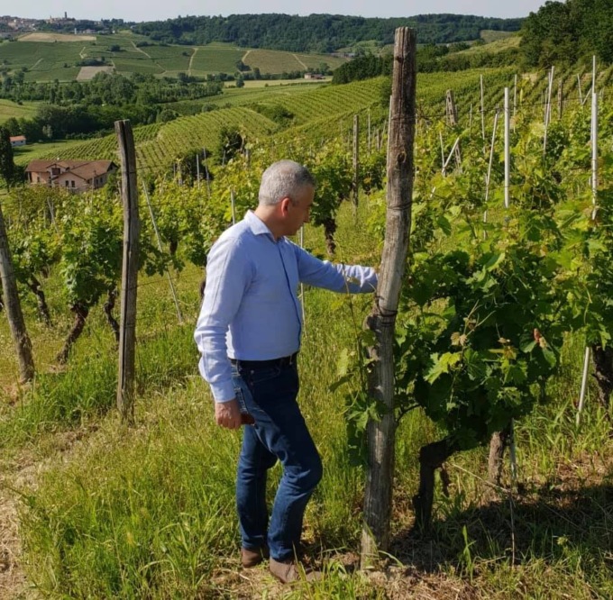 Piemonte, accolta richiesta della Regione di prorogare vendemmia