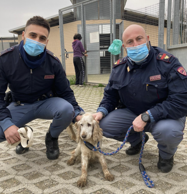 Asti: Polizia recupera una cagnolina per strada