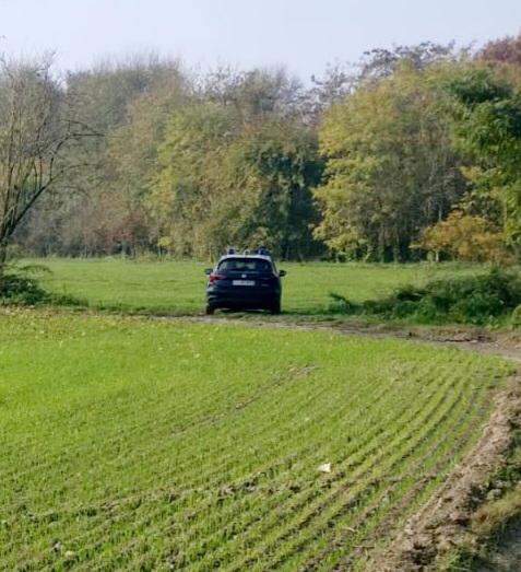 Rinvenuto cadavere nelle campagne di Chivasso