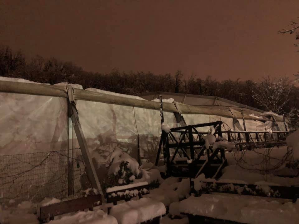 La copertura del PalaHockey di Monleale non regge il peso della neve, danni per 150mila euro