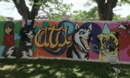 L'Associazione Tutela Animali festeggia 10 anni di attività nel canile e nel gattile di Alessandria