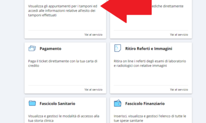 Covid-19, Piemonte: aperto a tutti i cittadini l’accesso agli esiti dei propri tamponi