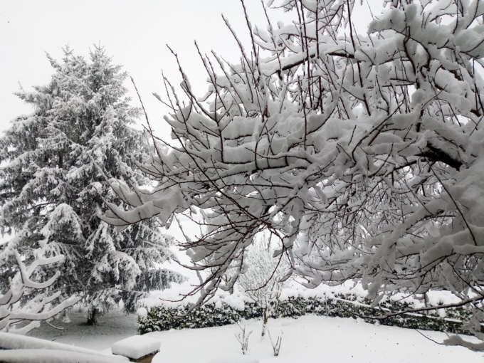 Neve: allerta arancione sulle Alpi Liguri, gialla sulla pianura alessandrina