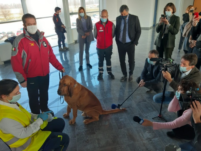 Cani anti-Covid, progetto pilota all’aeroporto di Cuneo