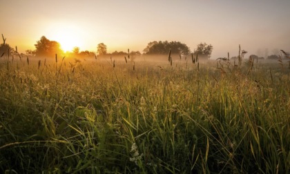 In arrivo venti di Foehn e forte rialzo delle temperature | Meteo Piemonte