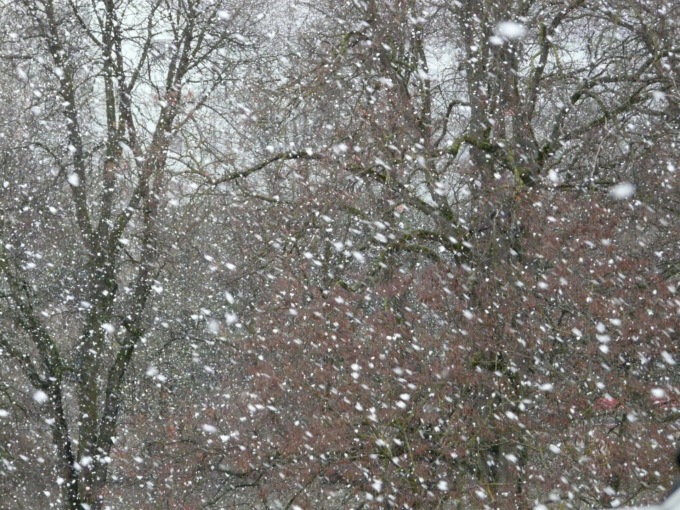 Meteo, deboli nevicate sul basso Piemonte