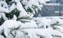 <strong>Meteo, al via la settimana più fredda dell'inverno: neve anche sulle spiagge</strong>