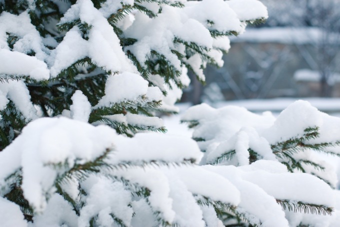 <strong>Meteo, al via la settimana più fredda dell’inverno: neve anche sulle spiagge</strong>