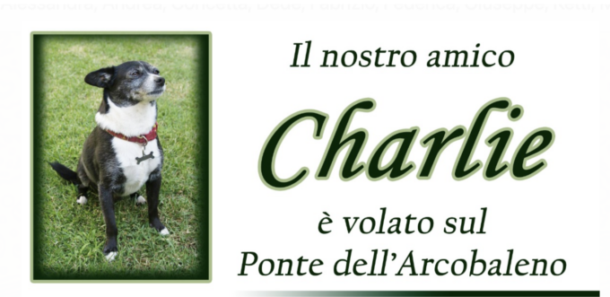 Alessandria: l’Hospice Il Gelso dice addio al cane Charlie
