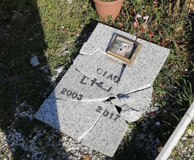 Alessandria: lapidi distrutte al cimitero degli animali