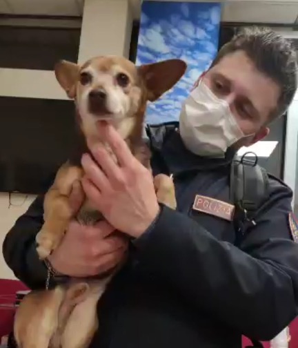 Auto rubata a Napoli con cane a bordo, fermata dalla Polstrada di Alessandria