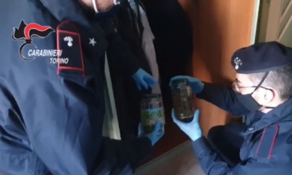 Torino: 4 arresti per droga e maltrattamenti in famiglia