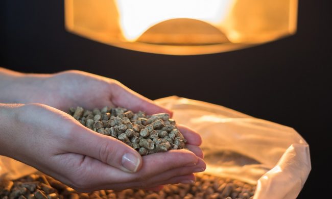 Acquistano del pellet su internet ma è una truffa: 21enne denunciato