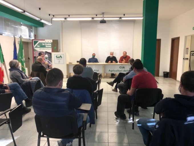 Cia, carne di Razza Piemontese: “Servono politiche di rilancio”