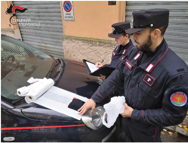 Carabinieri di Alessandria: controlli sugli shopper usati dagli esercizi commerciali