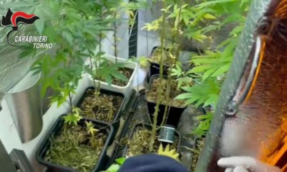 Torino: controlli antidroga, un arresto e due denunce