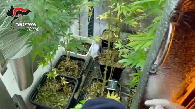 Torino: controlli antidroga, un arresto e due denunce