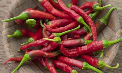 Cia, mercato del peperoncino: "Prodotti italiani stracciati dall’import cinese ed extra UE"
