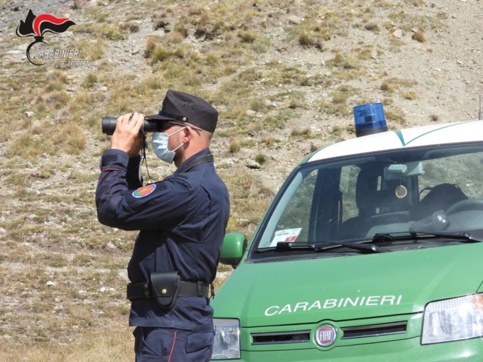 Accordo storico tra l’Arma dei Carabinieri e i Gruppi di Ricerca Ecologica