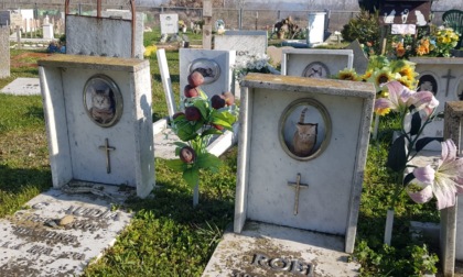 Poggio (Lega): "In Piemonte le ceneri degli animali da compagnia si potranno tumulare nella tomba del padrone" 