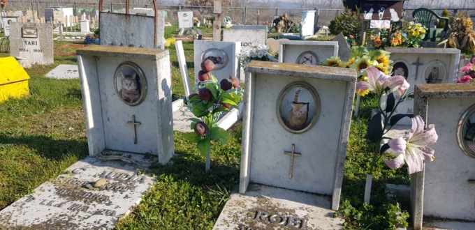 Poggio (Lega): “In Piemonte le ceneri degli animali da compagnia si potranno tumulare nella tomba del padrone” 