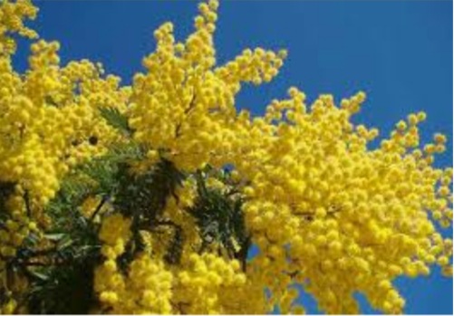 8 Marzo: “Dobbiamo ritornare sulle piazze. Il primo voto? Fu una festa per tutte le donne”