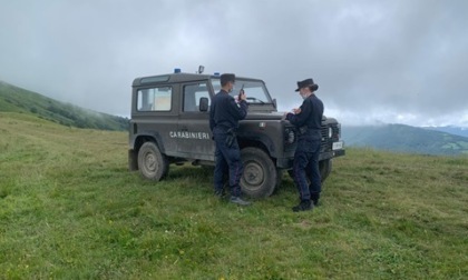Interventi edilizi senza autorizzazioni: denunciato dalla Forestale di Gavi