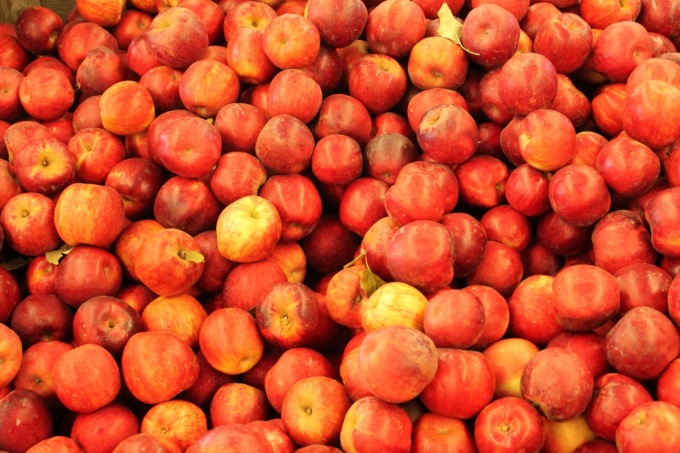 Gelo su campagne, Confagricoltura: “In Piemonte perso 50% produzione di pesche”