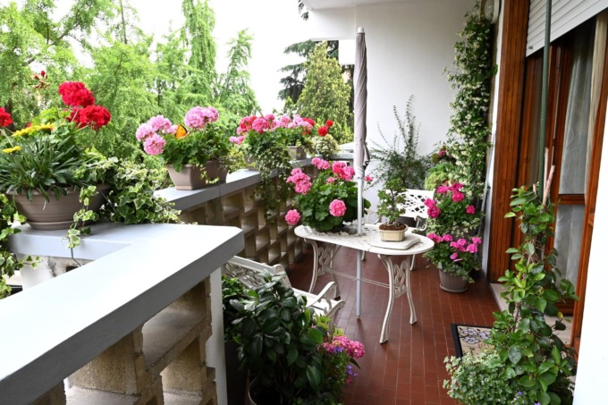 Dal canto ai fiori: i balconi di Alessandria ritrovano la speranza