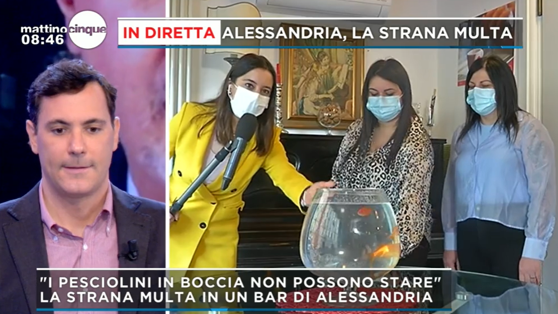 Multa di 100 euro al bar per i pesci rossi nella boccia
