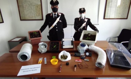 Torino: 4 arresti per estorsione, droga e rissa. Chiuso anche un ristorante