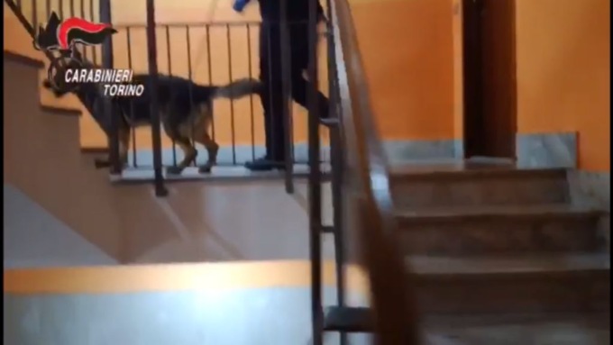 Torino: disarticolato gruppo criminale dedito allo spaccio di stupefacenti in Val Susa