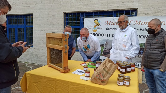 Valenza: grande partecipazione all’iniziativa dedicata alle api