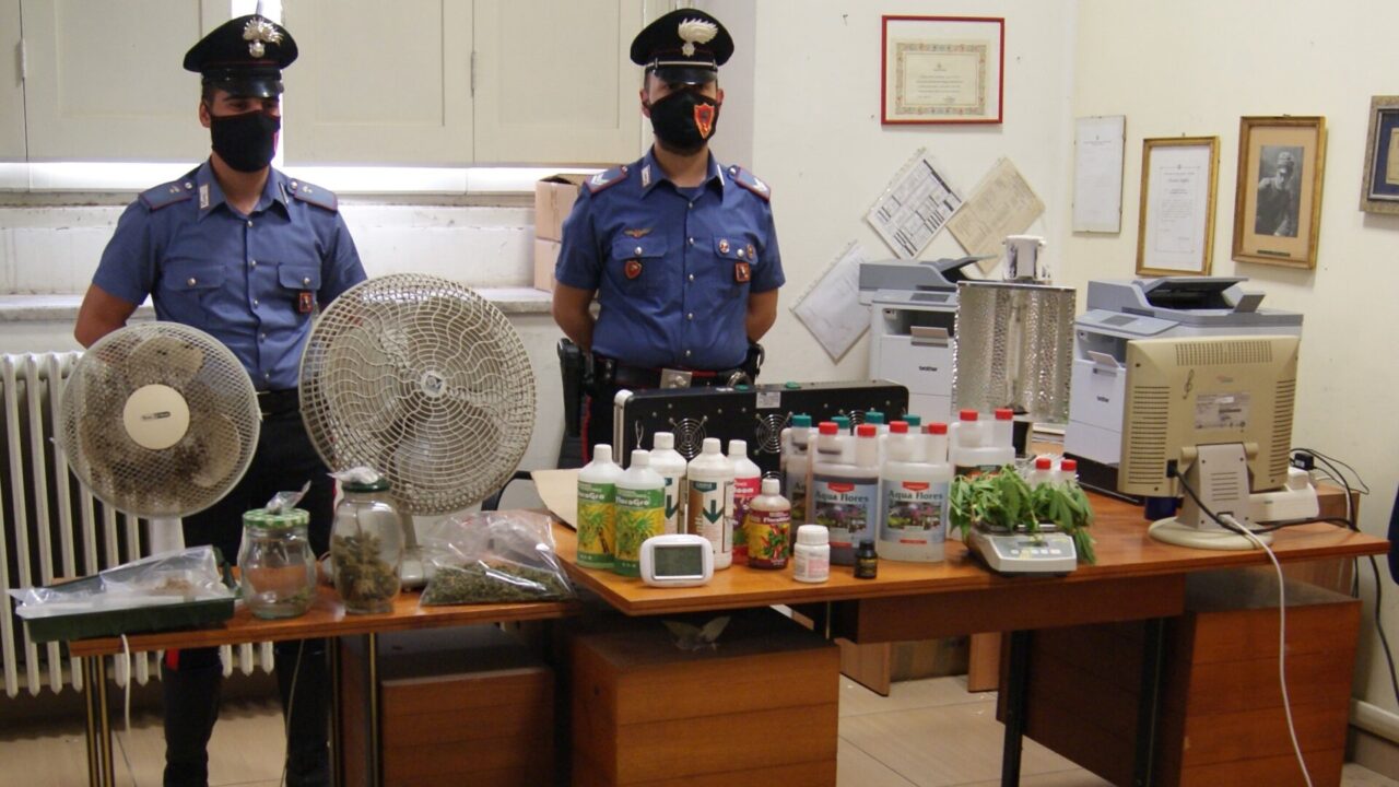 Coltiva in casa marijuana e la spaccia in un bar del centro a Tortona, arrestato 27enne