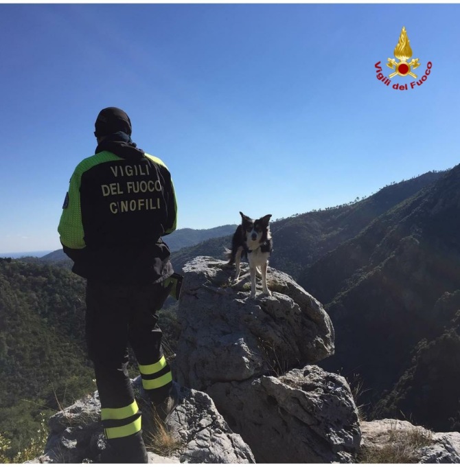 Addio a Canada, il Cane Pompiere del Nucleo Cinofili Liguria