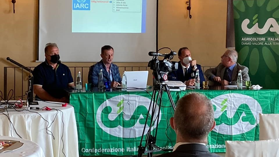 Allevamenti bovini e carne rossa: sfatare le fake news
