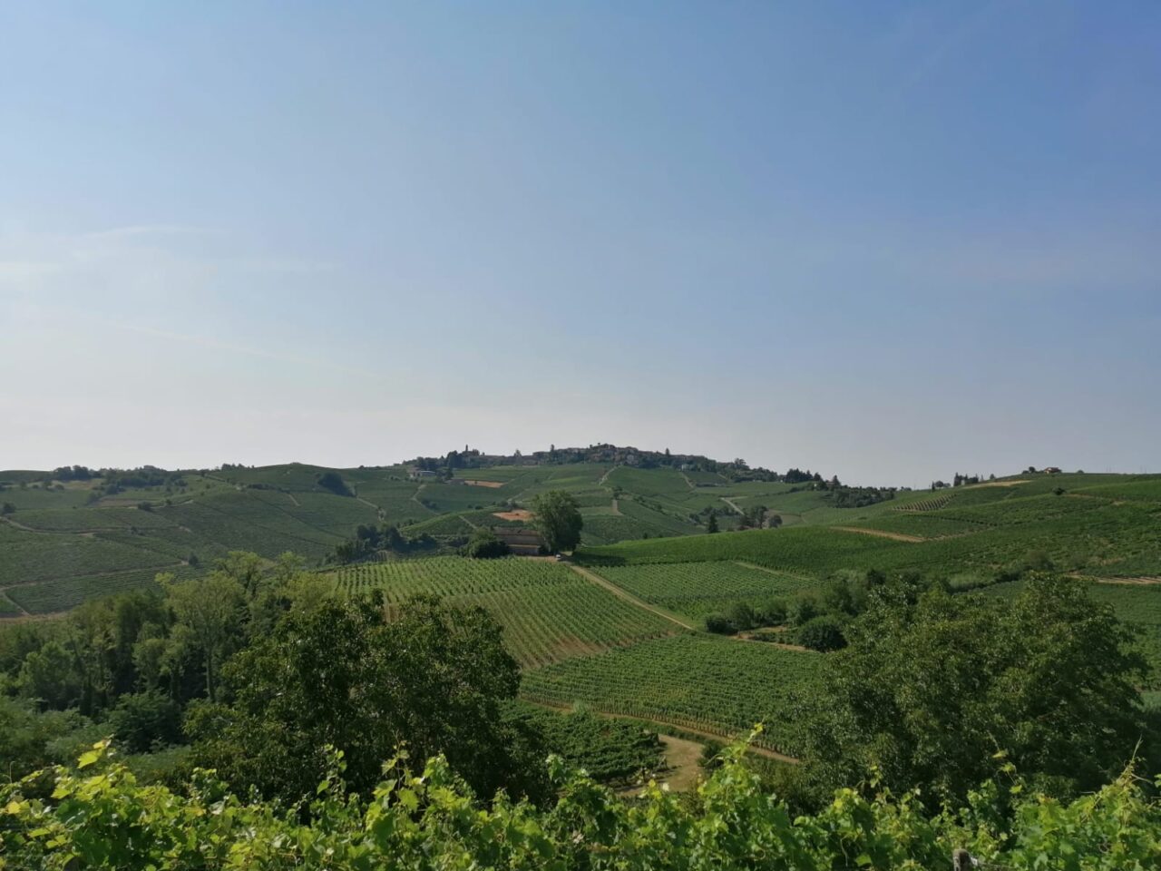 Cosa fare ad Alessandria e provincia: gli eventi del weekend del 31 luglio e 1 agosto 2021