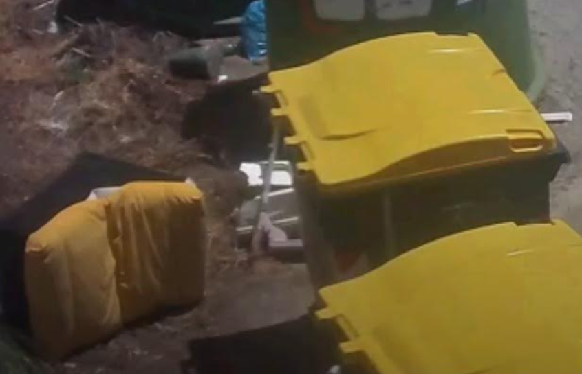Personale di un’azienda di Valenza abbandonava poltrone a Villabella e Strada Oche