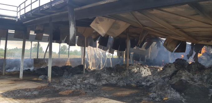 Masio: a fuoco azienda agricola, morti 30 bovini