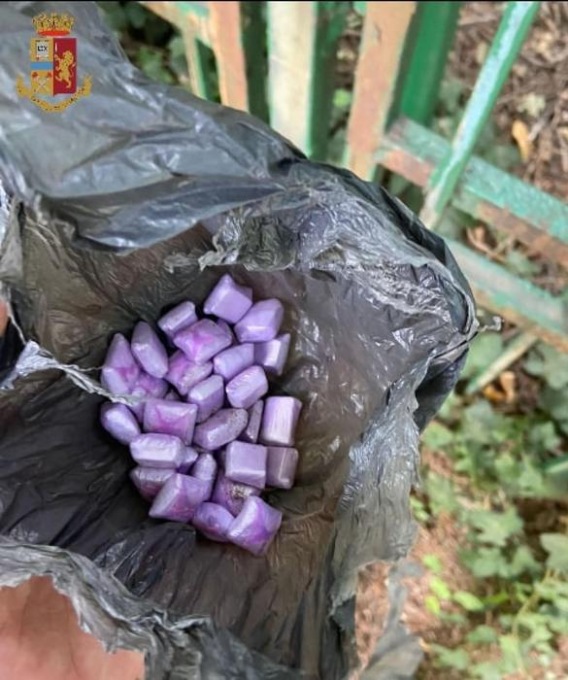 Torino, crack nascosto in giardino, Polizia arresta 25enne