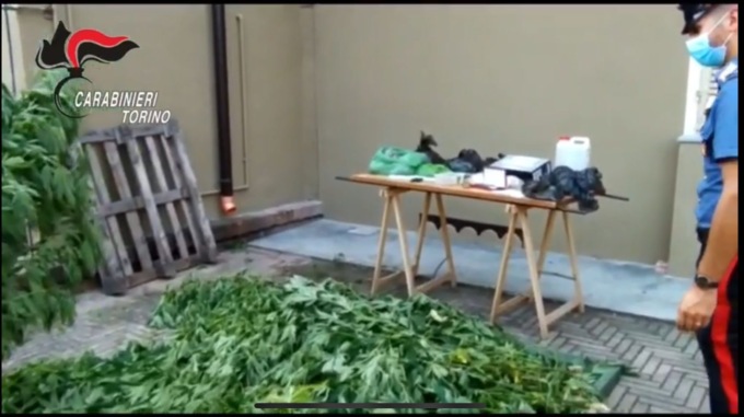 Torino: arrestati due pusher e sequestrati circa 5 kg di marijuana