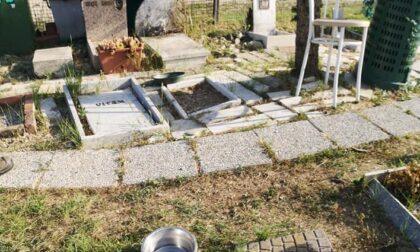 Vandalismo al cimitero degli animali