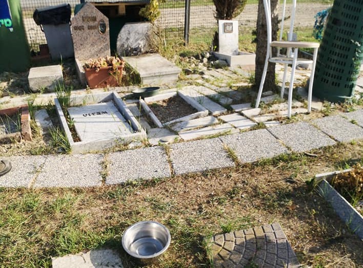 Vandalismo al cimitero degli animali