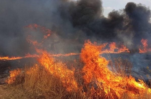 Roghi in Liguria: in fiamme un bosco nell’imperiese