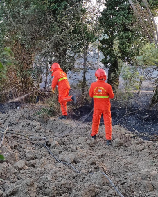 Incendio domato fra Tortona e Alessandria: la strada è di nuovo accessibile