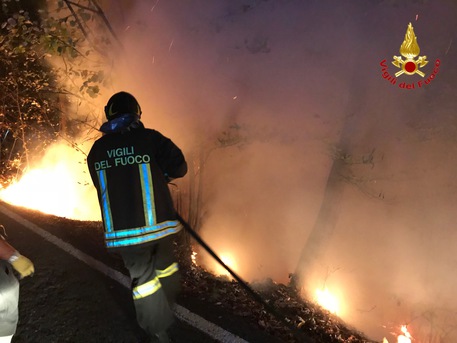 Incendio nell’Acquese, un ettaro di bosco in fiamme