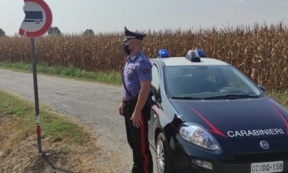 Borgo San Martino: camionista distrugge cartelli stradali, denunciato