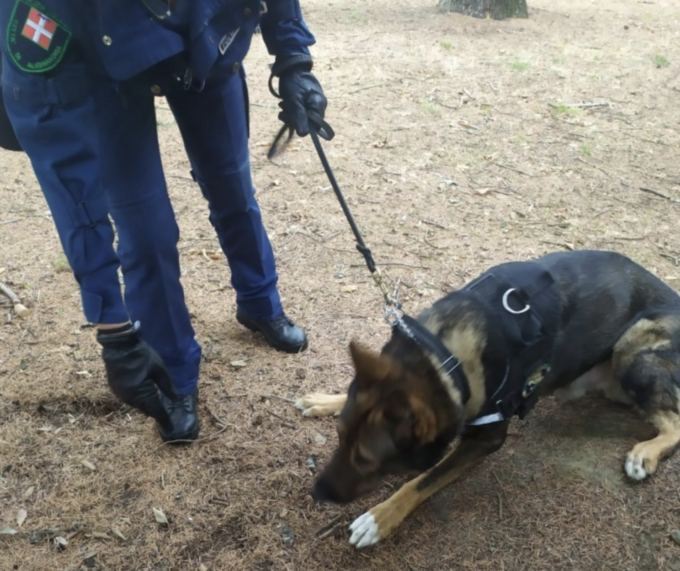Alessandria: unità cinofile scovano droga nascosta nel terreno dei giardini pubblici